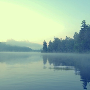 香蕉视频下载链接
